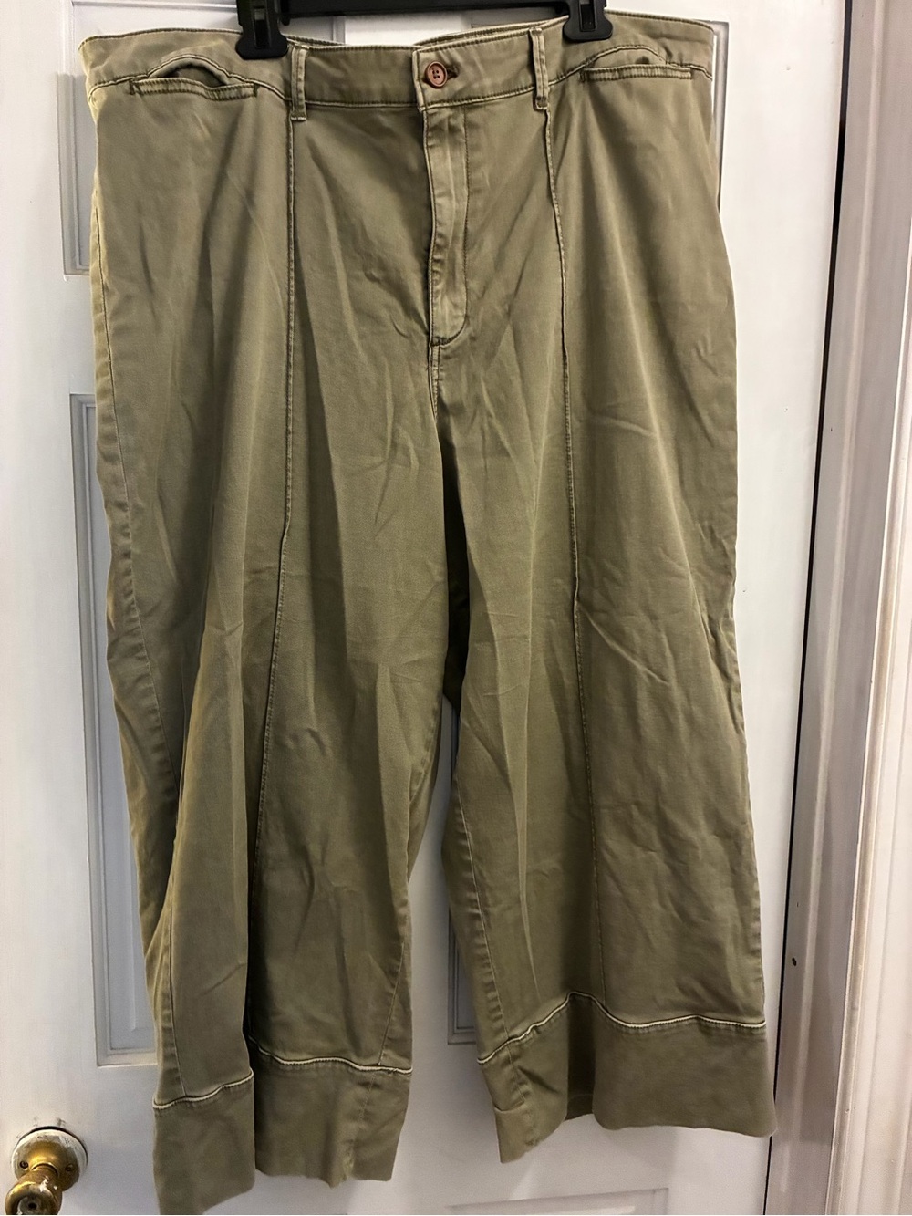 Anthropologie Green Pleated Cotton Pants